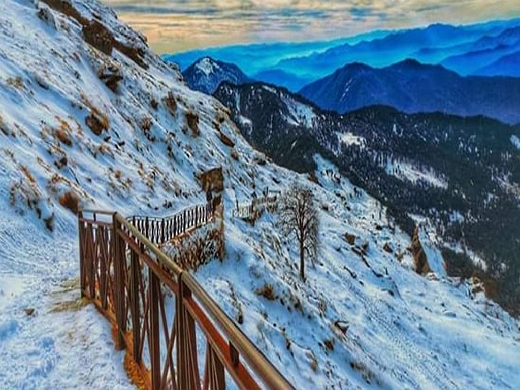 Chopta Tour Package