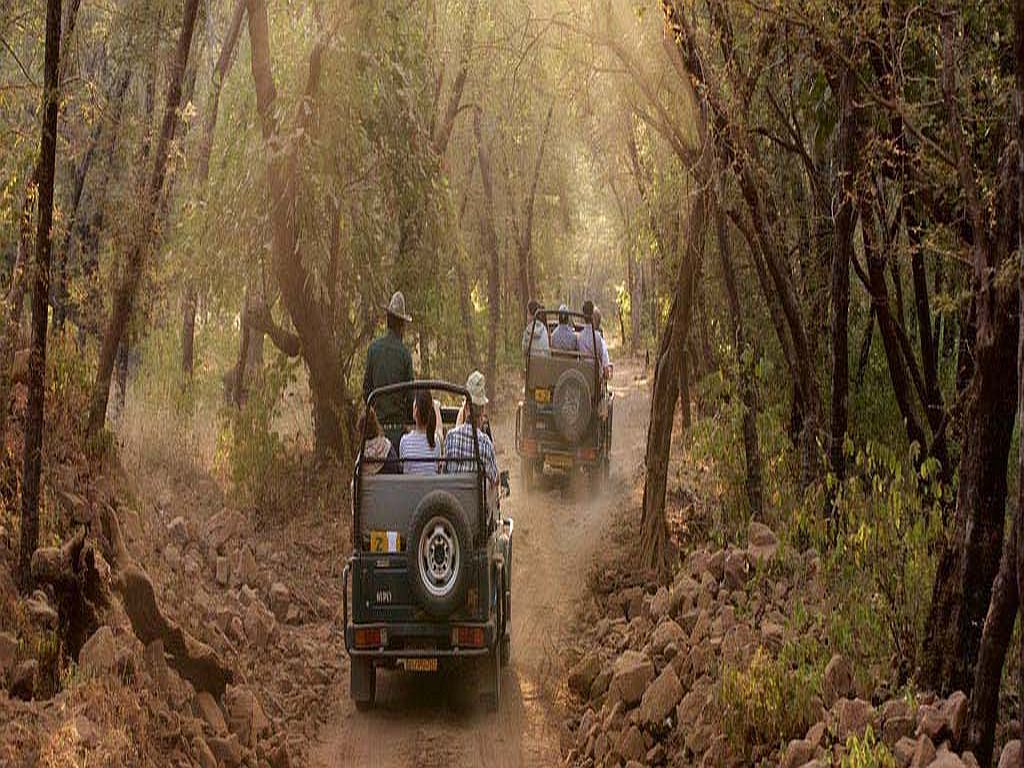 Jim Corbett Tour Package